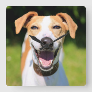 Relógio Quadrado Cão de riso das imagens de Getty