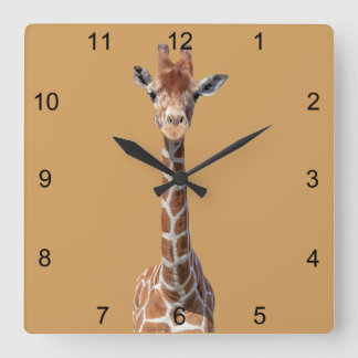 Relógio Quadrado Cara bonito do girafa
