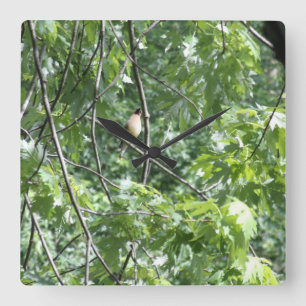 Relógio Quadrado Cardeal amarelo