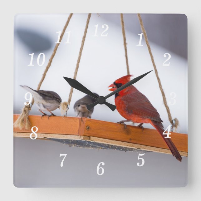 Relógio Quadrado Cardeal e Juncos Wall Clock (Frente)