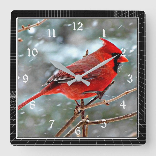 Relógio Quadrado Cardeal Vermelho na neve do inverno (Frente)