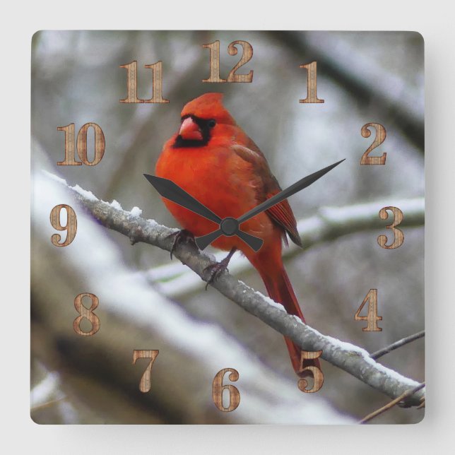 Relógio Quadrado Cardinal macho (Frente)