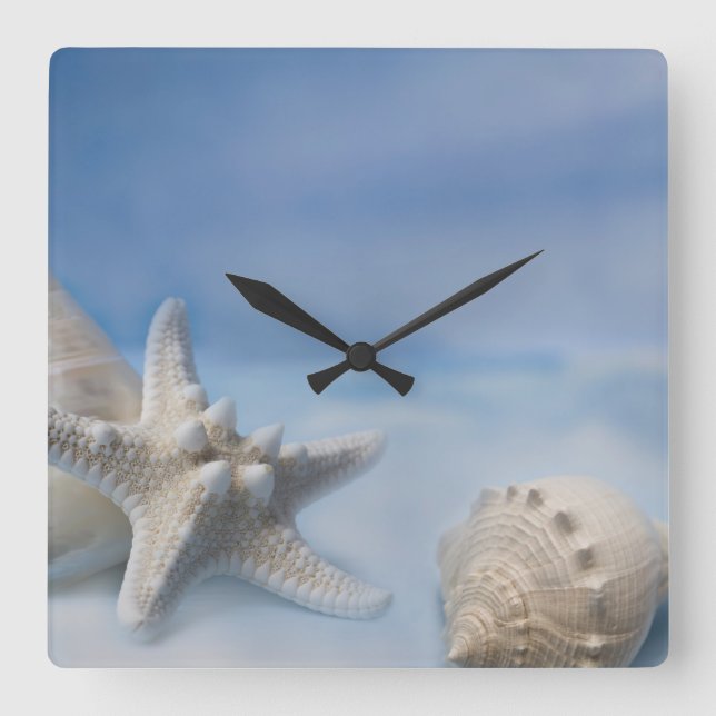 Relógio Quadrado Cascas-do-mar Peixes-estrela Pintados Pintados com (Frente)