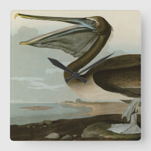 Relógio Quadrado Castanho Pelicano das Aves da América de Audubon