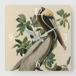 Relógio Quadrado Castanho Pelicano das Aves da América de Audubon