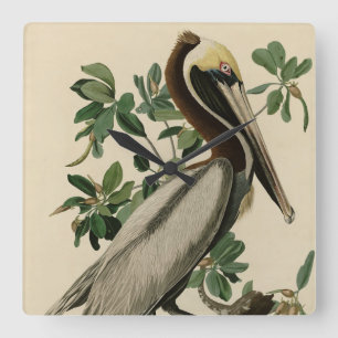 Relógio Quadrado Castanho Pelicano das Aves da América de Audubon