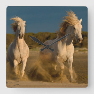 Relógio Quadrado Cavalos brancos que funcionam na praia Camargue,