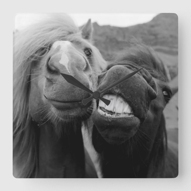Relógio Quadrado Cavalos de sorriso das imagens | de Getty (Frente)