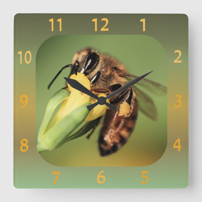 Relógio Quadrado Cesta De Pólen De Abelhas Encerradas E Divertidas  (Frente)