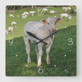 Relógio Quadrado Charolais
