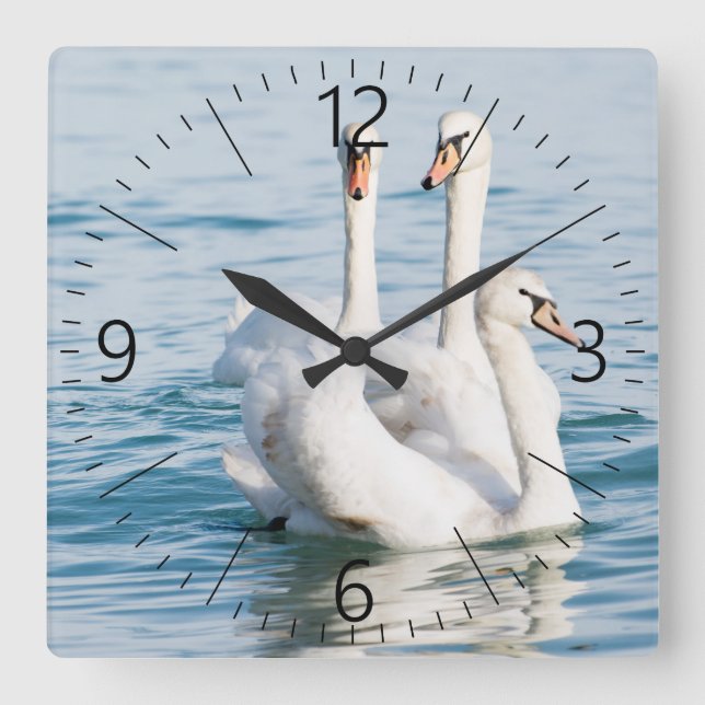 Relógio Quadrado Cisnes (Frente)