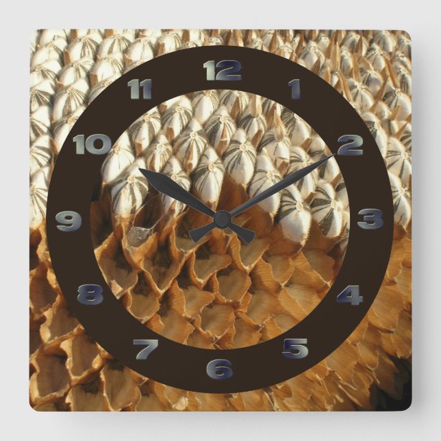 Relógio Quadrado Clock - Sunflower Seeds with Circle (Frente)