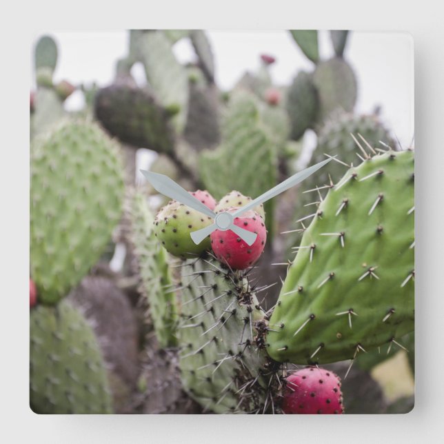 Relógio Quadrado Close Up Of Prickly Pear Cactus (Frente)