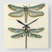 Coleção de Dragonfly por Chariklia Zarris