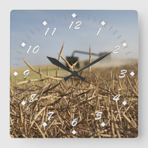 Relógio Quadrado Colheita de Canola