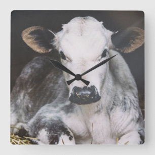 Relógio Quadrado Colheita ocupada do dia