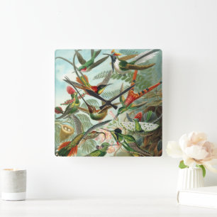 Relógio Quadrado Colibris por Ernst Haeckel, árvores dos pássaros