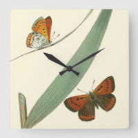 Colorful Butterflies Fluttering Around a Leaf
