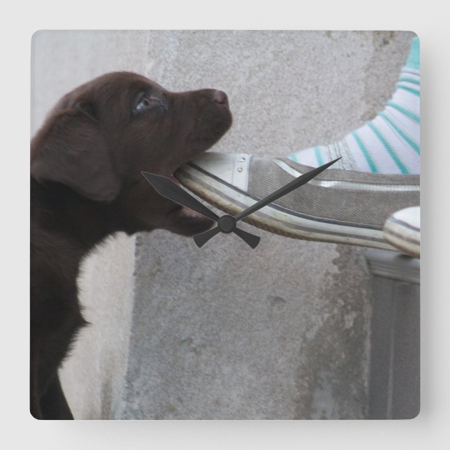 Relógio Quadrado Coma O Meu Calçado! Labrador Puppy (Frente)