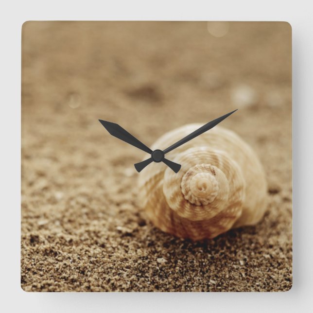 Relógio Quadrado Common Whelk | Botany Bay (Frente)