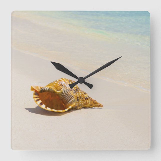 Relógio Quadrado Conch Shell na praia 3 (Frente)