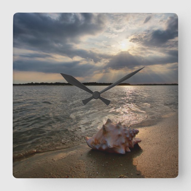 Relógio Quadrado Conch Shell na praia | St Augustine, Fl (Frente)