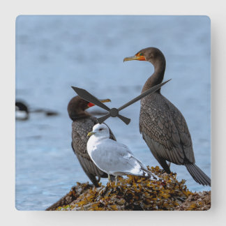 Relógio Quadrado Cormorants and Seagull