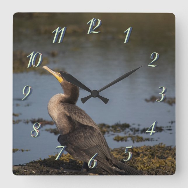 Relógio Quadrado Cormorão de peito duplo (Frente)