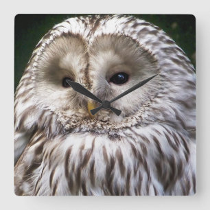 RELÓGIO QUADRADO CORUJAS