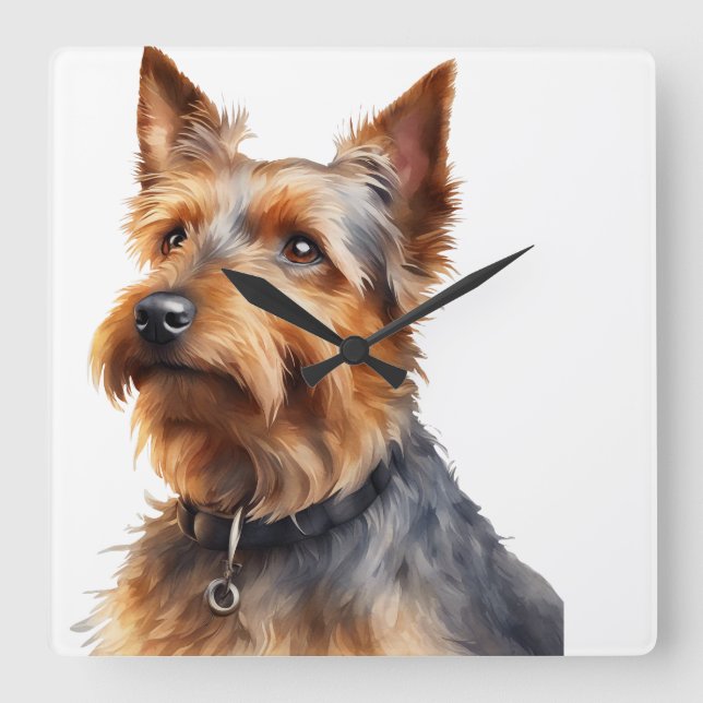RELÓGIO QUADRADO COTE BROWN & CINZA AUSTRALIANO TERRIER DOG (Frente)