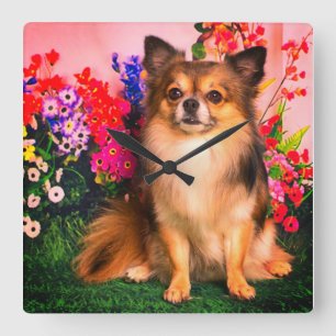 Relógio Quadrado Cute Chihuahua Entre Flores de Primavera