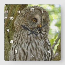 Relógio Quadrado Cute Great Grey Owl Print Wall Clock