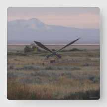 D10 Veado Branco Colinas Sweetgrass