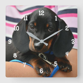 Relógio Quadrado Dachshund Puppy Wall Clock