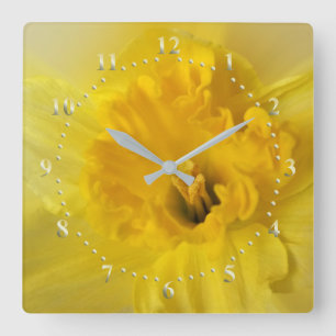 Relógio Quadrado daffodil amarelo