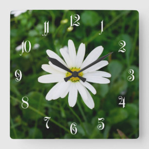 Relógio Quadrado Daisy