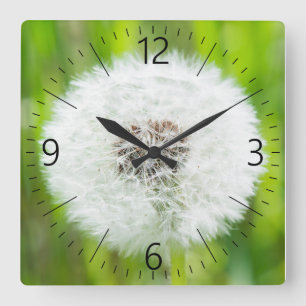 Relógio Quadrado Dandelion