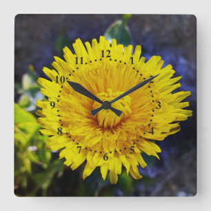Relógio Quadrado Dandelion à luz do sol