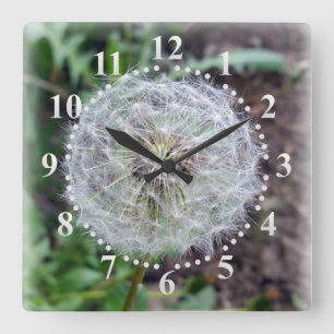 Relógio Quadrado dandelion bloom