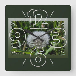 Relógio Quadrado Dandelion na grama