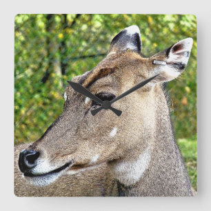 RELÓGIO QUADRADO DEER