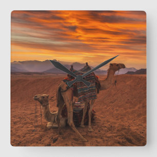 Relógio Quadrado Desertos   Bactrian Camel Egypt Sand Dune