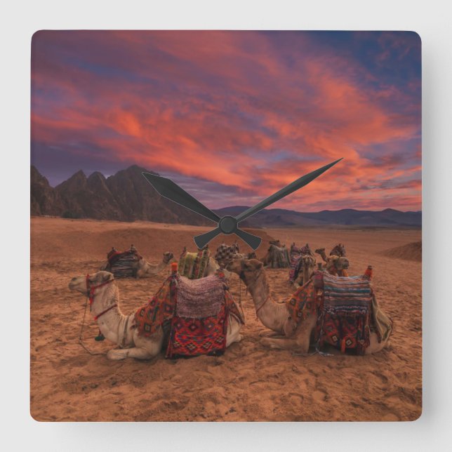 Relógio Quadrado Desertos | Camels Sinai Mounts Egito (Frente)