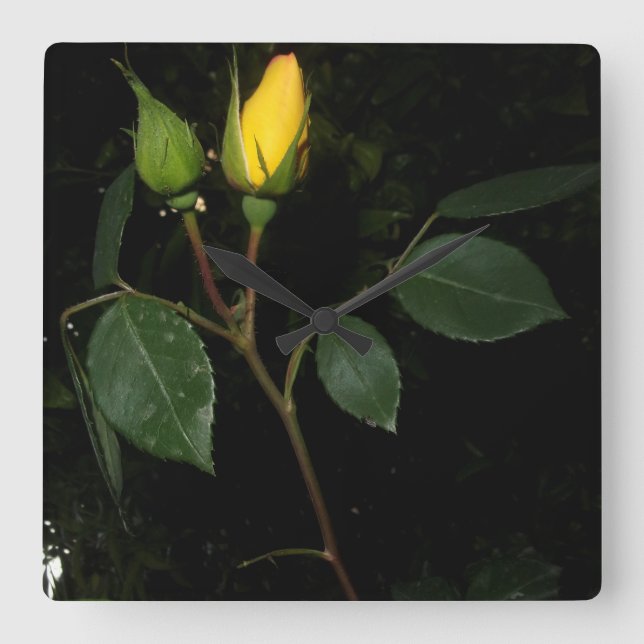 Relógio Quadrado Design DE ESTILO ECO LEGAL DO Wall Clock (Frente)