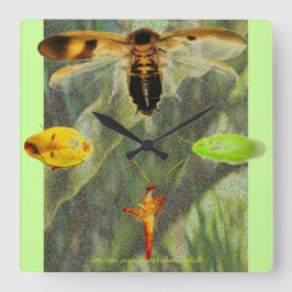 Relógio Quadrado Do "os entusiastas da barata da barata pulso de di