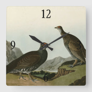 Relógio Quadrado Dusky Grous (Blue Grouse) - Aves de Audubon da Amé