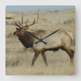 Relógio Quadrado E55 Bull Elk