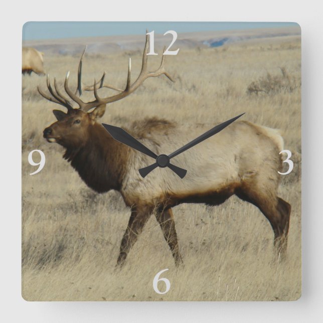 Relógio Quadrado E55 Bull Elk Big Bull (Frente)