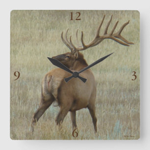 Relógio Quadrado E6 Bull Elk em Velvet