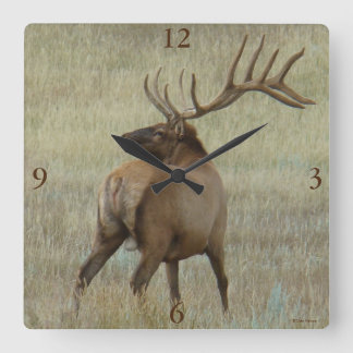 Relógio Quadrado E6 Bull Elk em Velvet
